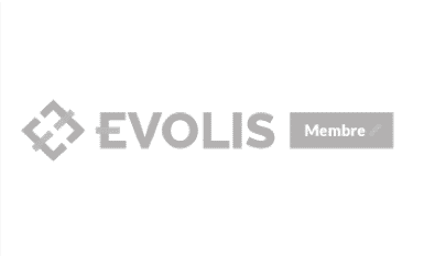 Logo-evolis-gris